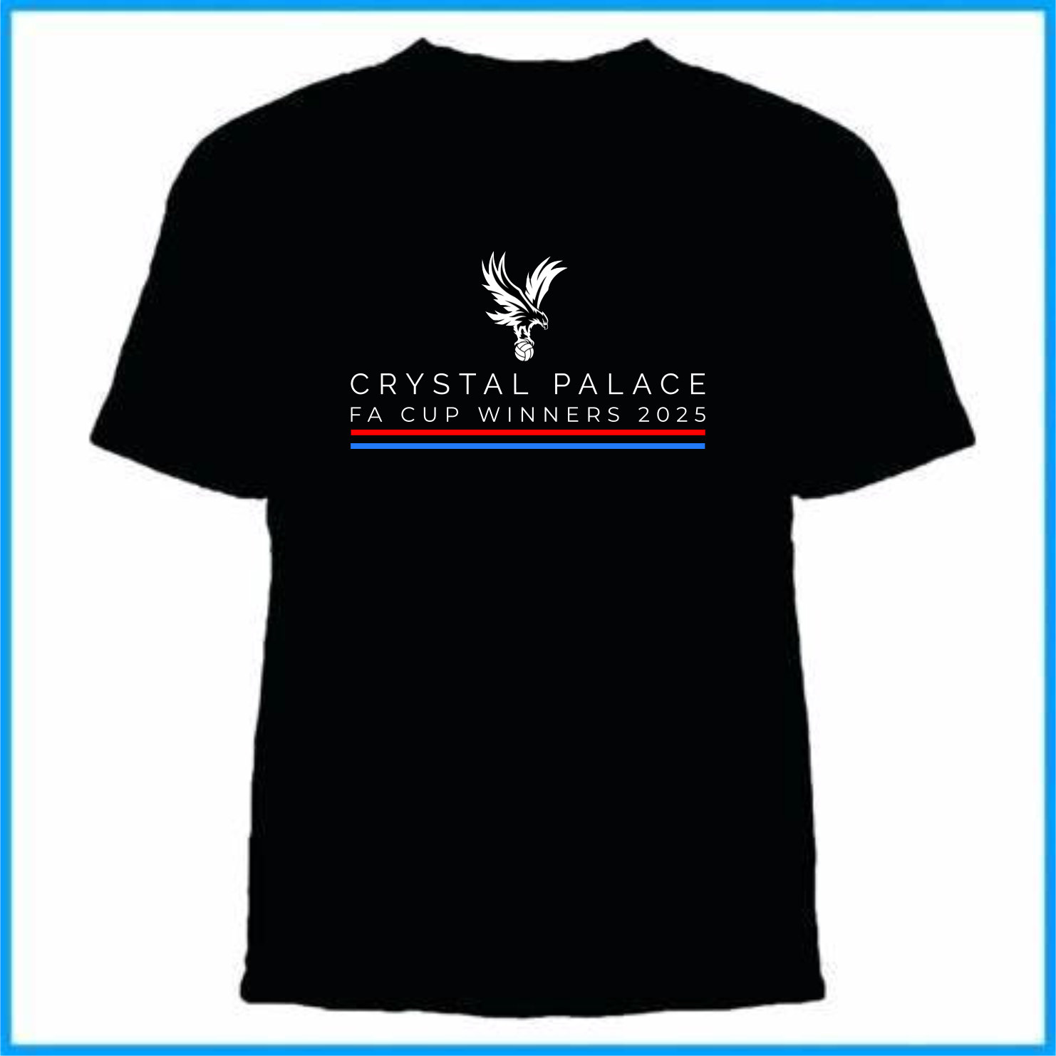 CPFC05 - graphic for printing - FA Cup Winners 2025